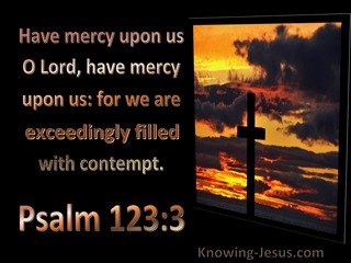 Psalm 123:3 Have Mercy Upon Us For We Are Filled With Contempt (utmost)11:23